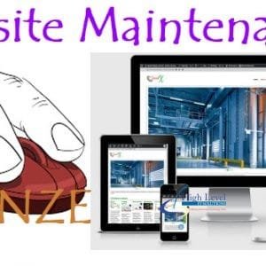 Web Maintenance Bronze Package