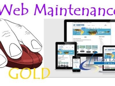 Web Maintenance Gold Package